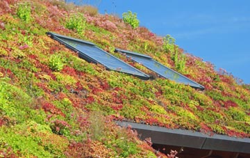 Dunchideock living roof systems